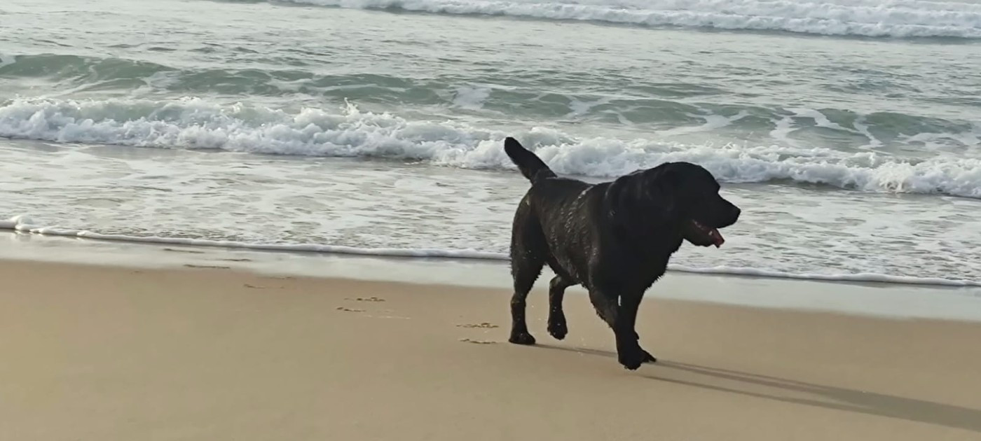 ILS ONT TOURNE SUR LA SERIE "MITTERAND CONFIDENTIEL" FRANCE 2